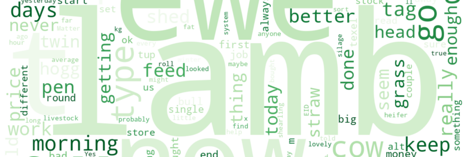 Word cloud of most discussed keywords this week