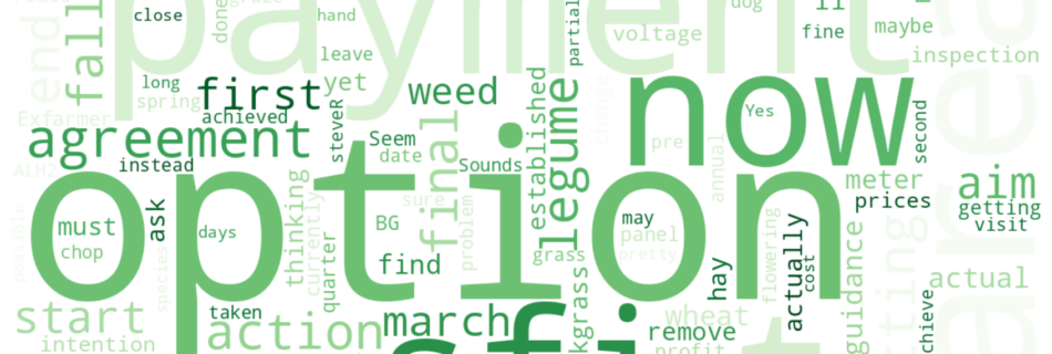 Word cloud of most discussed SFI keywords this week