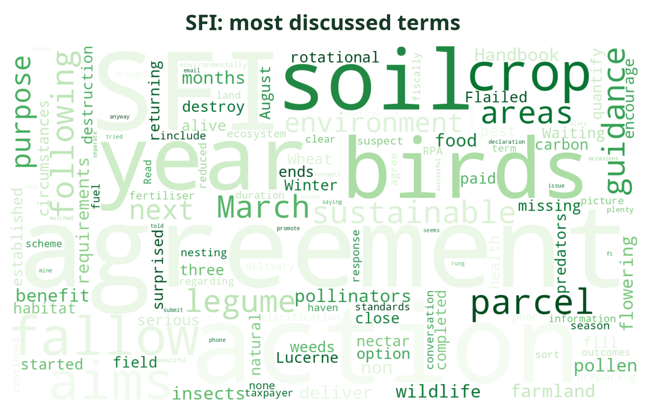 Word cloud of the most discussed SFI terms this week